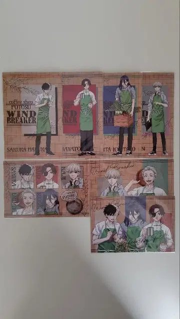 WIND BREAKER 스텔라 맵 카페 엽서