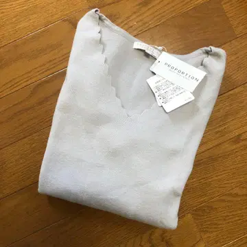 PROPORTION BODY DRESSING 소매 플레어 라메 상의