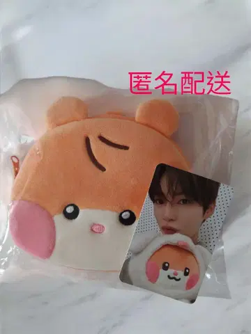 ZB1 제로니 zeroni 비니니 사진 홀더 파우치 혜택 트레이딩 카드