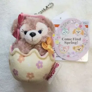 컴 파인드 스프링 셰리 메이 디즈니씨