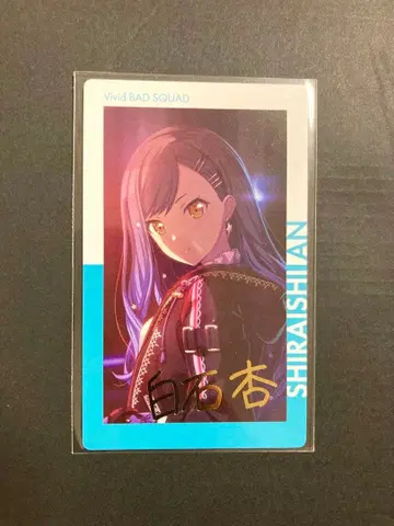 프로세카 쿄 에피카 1A 금박