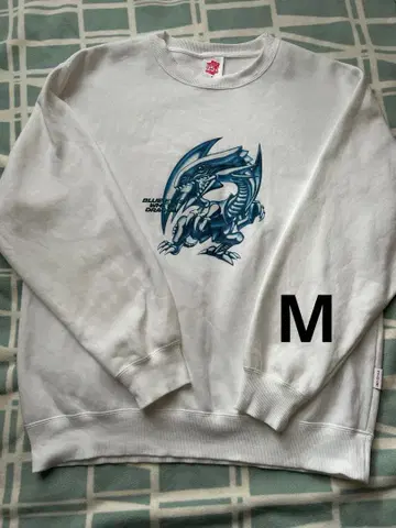 유희왕 블루아이즈 푸른 눈의 백룡 화이트 속기모