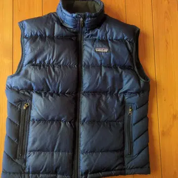 Patagonia 네이비 다운 베스트