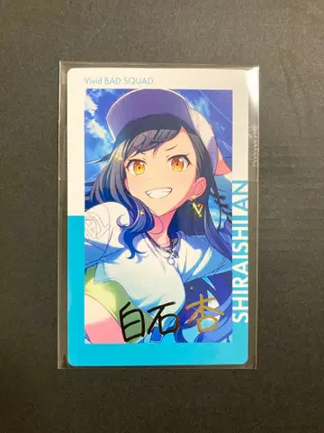 프로세카 안즈 에피카 8C 금박