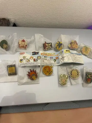 레어템 원피스 핀즈 컬렉션 전 12종