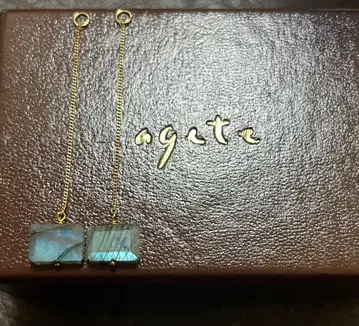 agete 래브라도 라이트 체인 포함 참