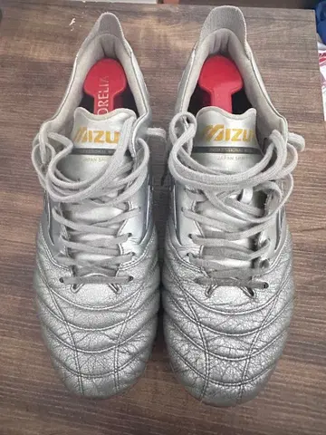 모렐리아 네오 4 실버