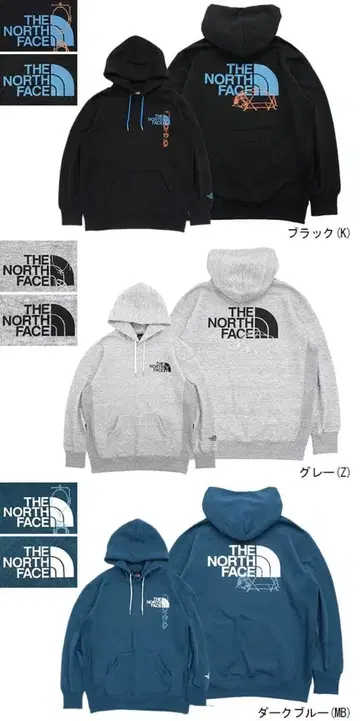THE NORTH FACE BACK HALF DOME HOODIE