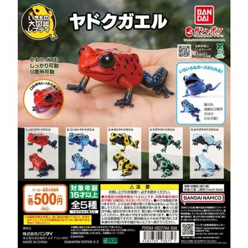 생물대도감 쁘띠 독개구리 전 5종 세트