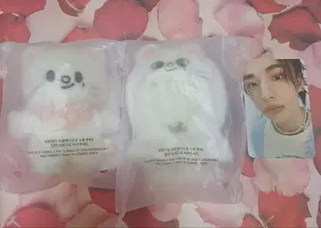 Stray Kids 진렛 10cm 플러시+의상+트레이딩 카드