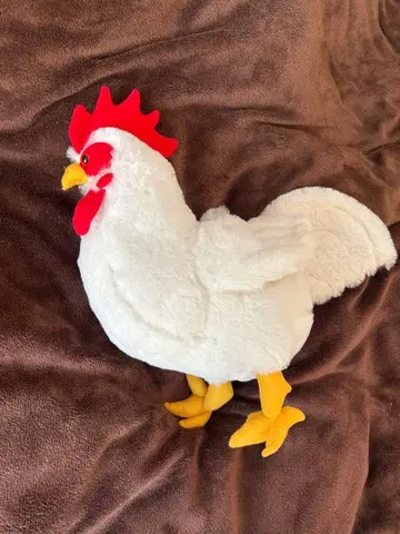 닭 봉제 인형