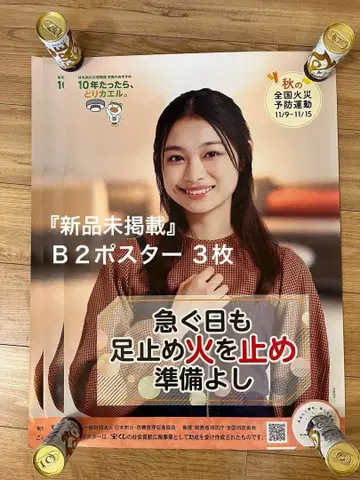 [ 새상품 미게재 ] 츠키시마 루이 B2 사이즈 포스터 5장