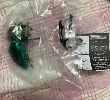 생물대도감 어드밴스 무지개 사슴벌레 (그린 컬) 미개봉 새상품