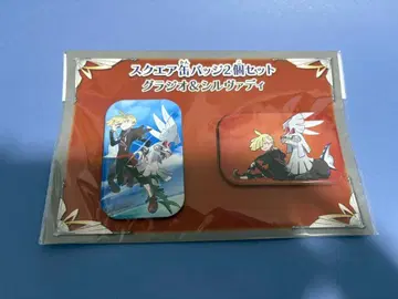 포켓몬 글라디오&실버디 스퀘어 캔뱃지 세트