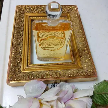 캐 롱 녹턴 100ml