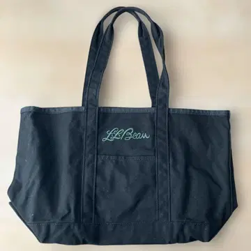 엘엘빈 그로서리 토트 롱 핸들