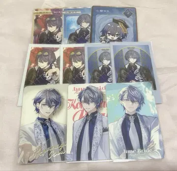 니지산지 코야나기 로우 폴라로이드 묶음 판매