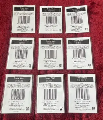 Snow Man 미니 사진 세트