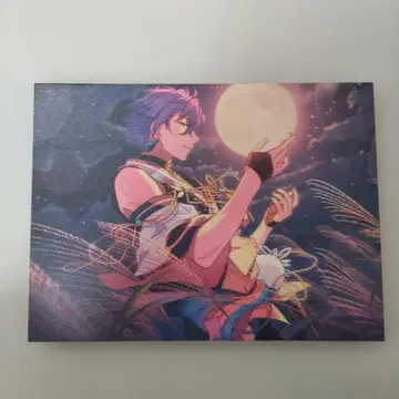 앙스타 오토카리 아도니스 앙상블 스타즈! chill 라이트 패널