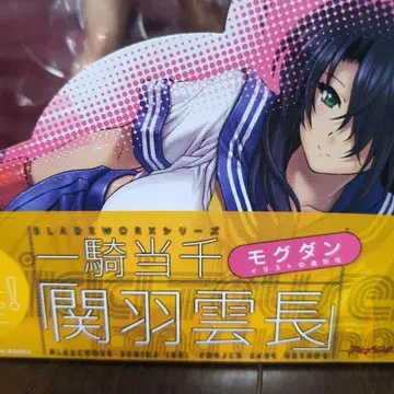 일기당천 관우 운장 피규어 모그단