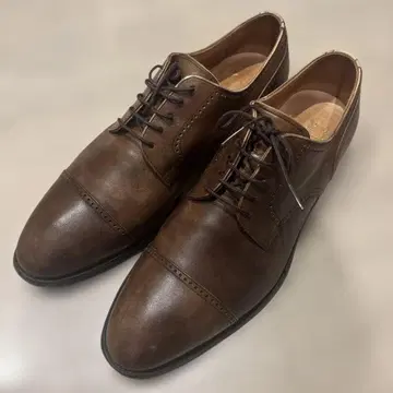 스코치 레인 브라운 26.5