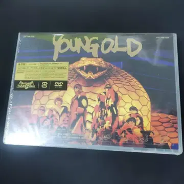 SixTONES YOUNG GOLD 초회 한정판 DVD