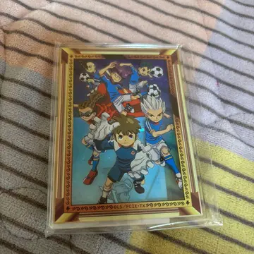 이나즈마 일레븐 제비뽑기당