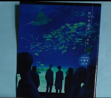 피사계 심도 소우 죠 소책자