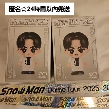 라울 소프트 비닐 2세트 은테 SnowMan