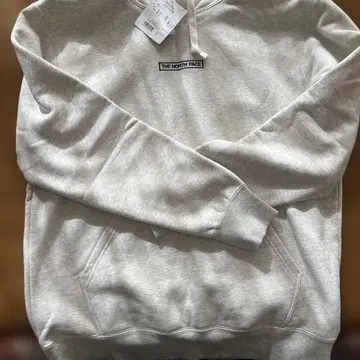 THE NORTH FACE SWEAT HOODIE