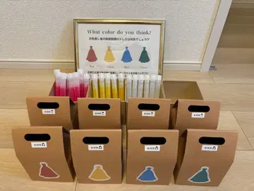 결혼식 드레스 고르기 퀴즈