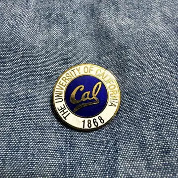 80s 캘리포니아 대학 버클레이 캠퍼스 핀 배지 핀즈