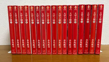 대갑자원 문고 전권 세트