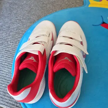 미즈노 트레이닝 슈즈 24.5cm