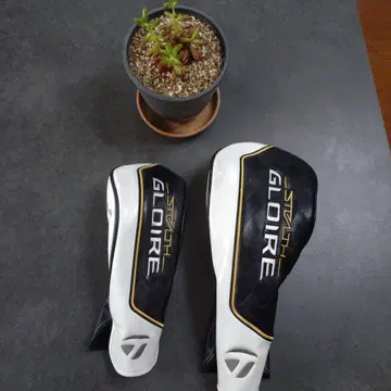 스텔레스 글로리의 골프헤드커버