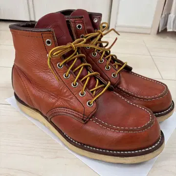 레드윙 8875 아이리쉬 세터 US8E 26cm