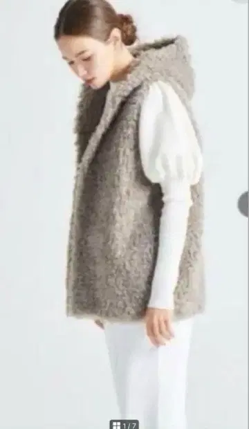 요리 푸들 베스트 프리 사이즈 그레이 요리