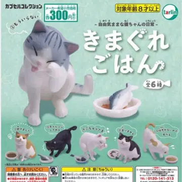 변덕스러운 밥 전 6종 컴플리트