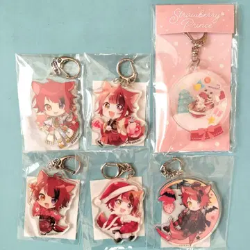 스토푸리 리이누군 아크릴 키링 6개 세트
