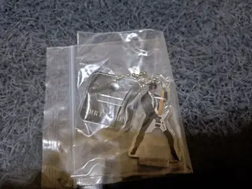 DIR EN GREY 아크릴 키링 소외 Toshiya