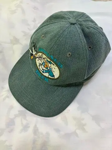 도쿄 디즈니랜드 도널드 덕 캡