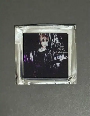 Acid Black Cherry 아크릴 마그넷 B 나비 시크릿