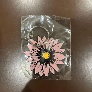 Maroon5 마룬5 WORLDTOUR 키링 키홀더