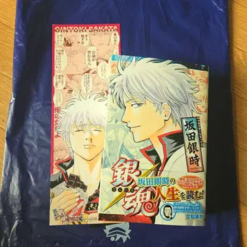 은혼 캐릭터 리믹스 사카타 긴토키