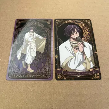 최저가 마지막 1개 복숭아꽃 달빛 세트 아라비안나이트 타로풍 카드