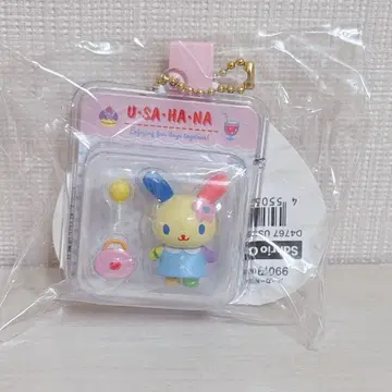 우사하나 미니어처 패키지 키링