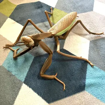 리얼 빅 사이즈 피규어 사마귀 2