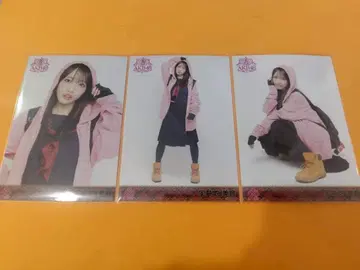 무카이치 미온 AKB48 멤버 리퀘스트 동경의 의상 브로마이드 3종 컴프