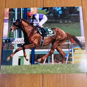 다이와 메이저 사진 패널 미호 트레이닝 센터