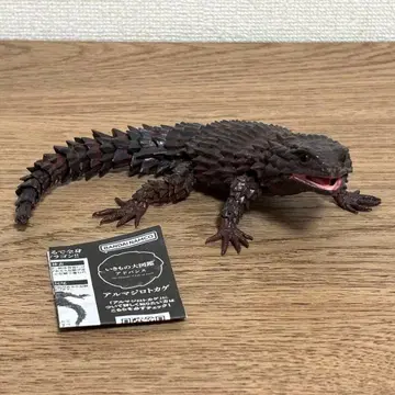 생물대도감 어드밴스 아르마딜로 도마뱀 블랙